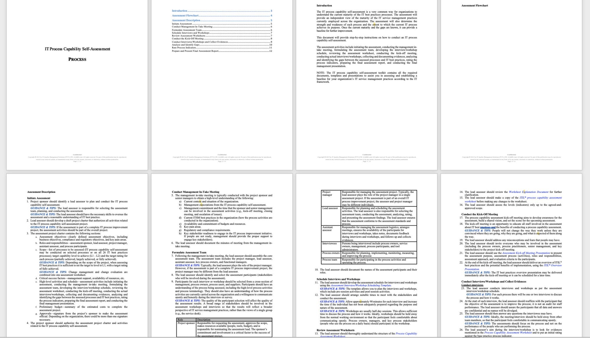 IT Process Maturity - Capability Self Assessment Toolkit - Covers 25 Essential IT Processes - itQMS