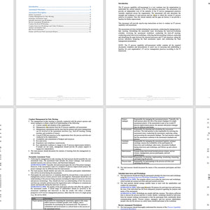 IT Process Maturity - Capability Self Assessment Toolkit - Covers 25 Essential IT Processes - itQMS