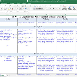 IT Process Maturity - Capability Self Assessment Toolkit - Covers 25 Essential IT Processes - itQMS