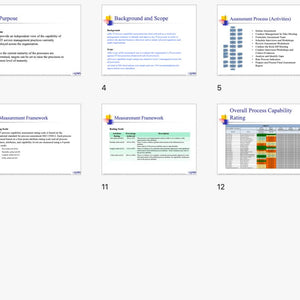 IT Process Maturity - Capability Self Assessment Toolkit - Covers 25 Essential IT Processes - itQMS