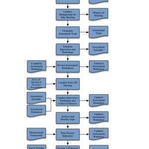IT Process Maturity - Capability Self Assessment Toolkit - Covers 25 Essential IT Processes - itQMS