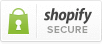 payments securely processed